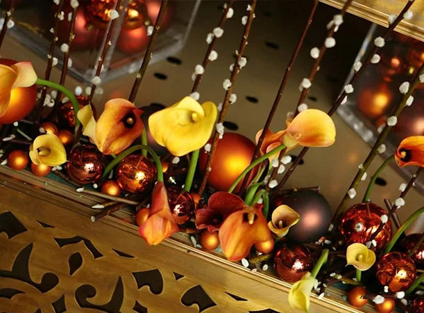 فندق سوفيتيل القاهرة النيل الجزيرة - Image 3