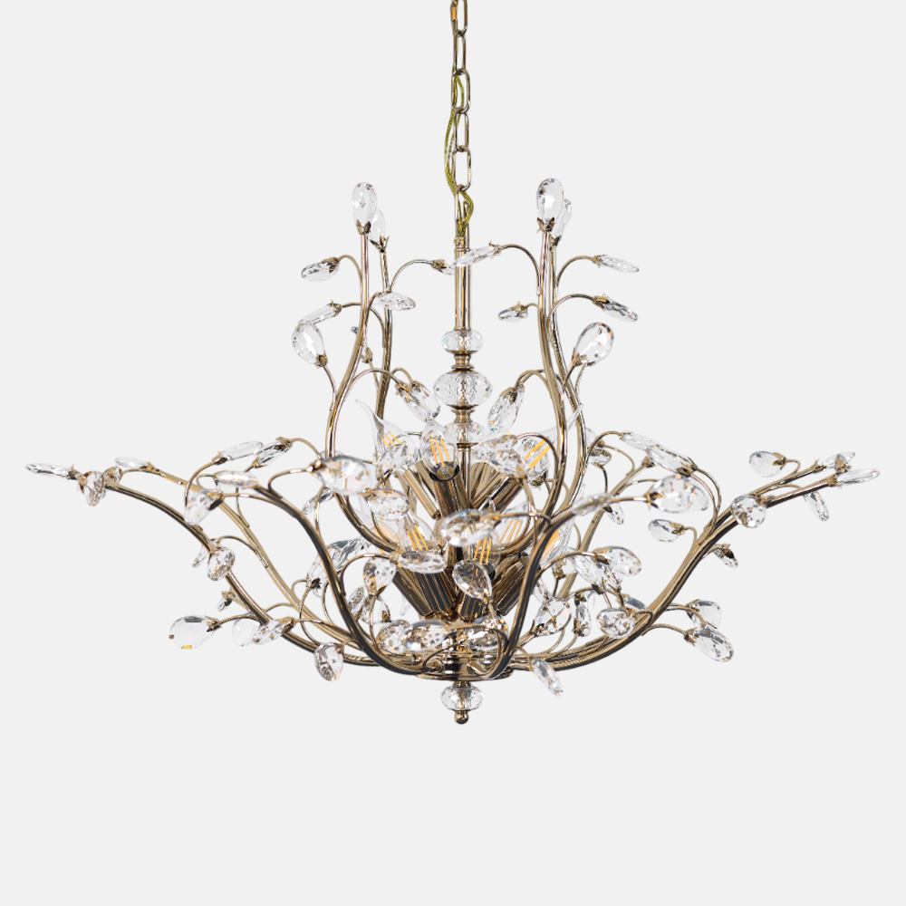 1020010081521336 (1)